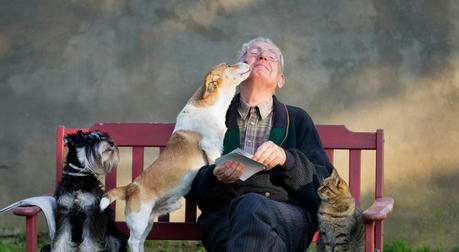 Why Every Senior with a Furry Friend Needs Pet Insurance (And Why You’re Missing Out!)